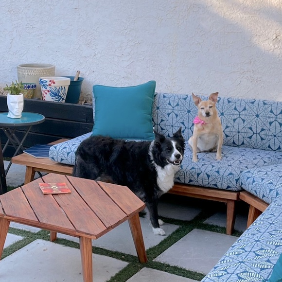 Meet your Posher, Hannabeth - Picture 2 of 2